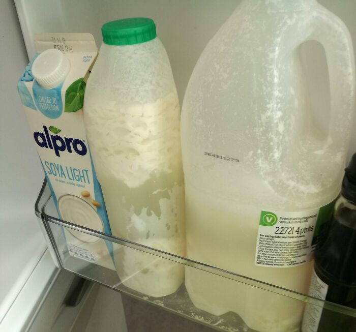 Flatmate's Milk That Aged Like Milk