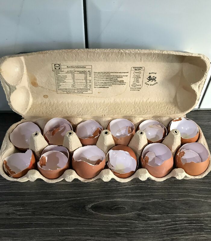 Went To Make Poached Egg For Breakfast. Turns Out My Wife Was Baking Yesterday