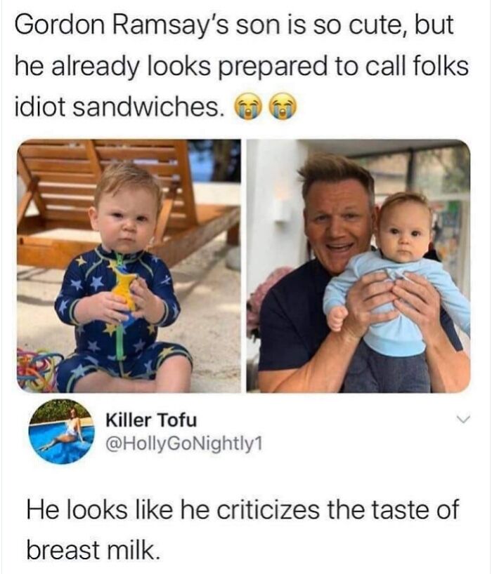 Relatable-British-Memes