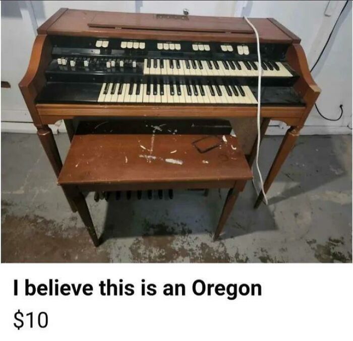 I Believe This Is An Oregon