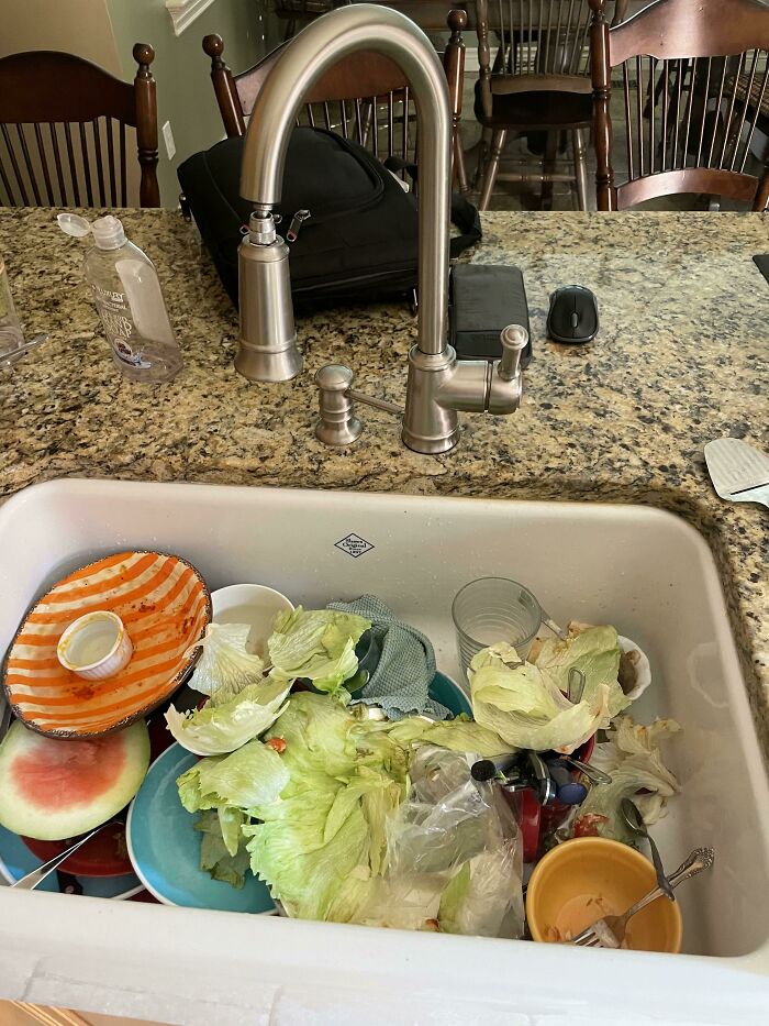 My Family Throwing Giant Chunks Of Food In The Sink On Top Of Dirty Dishes