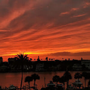 josephdonatucci avatar