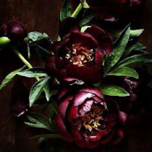 romixgoldenhyunggoldenhyung avatar