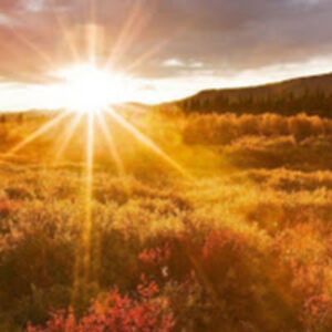 christenvollmer avatar