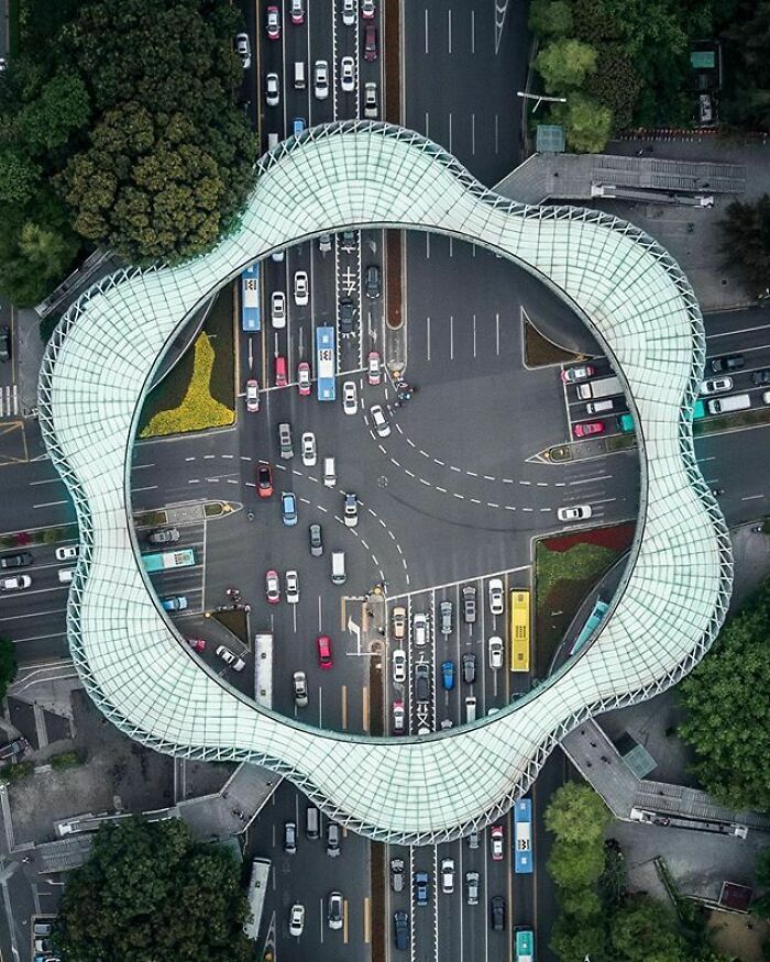 Flower Shaped Pedestrian Bridge, Shenzen, China