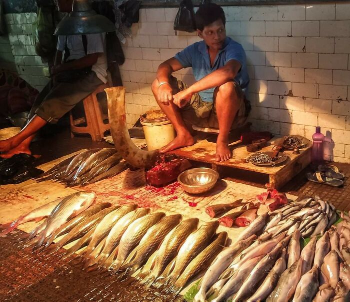 This Fish Seller In My City
