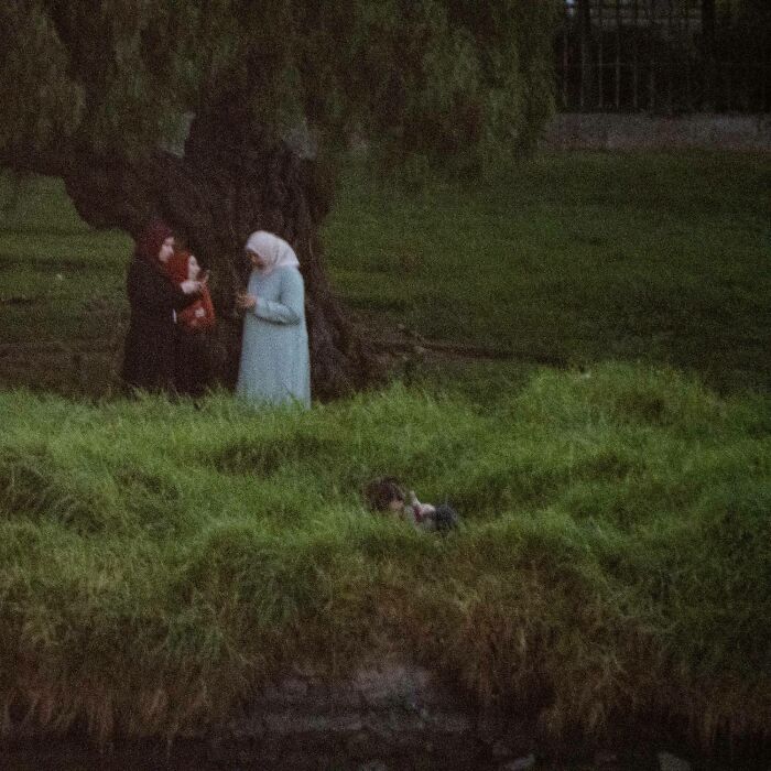 A Meeting By The Lake