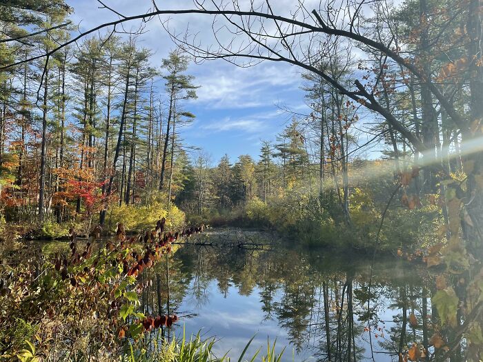 New England Autumn Morning