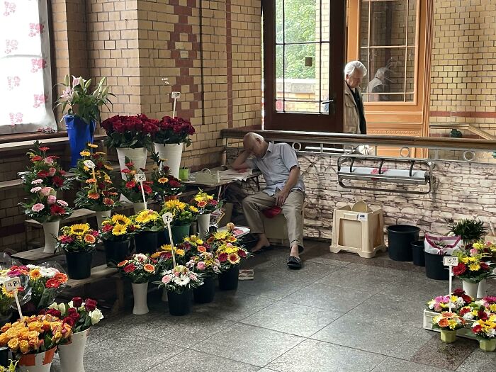Flower Ship Man Asleep In Berlin