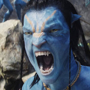 williamcarpentier avatar