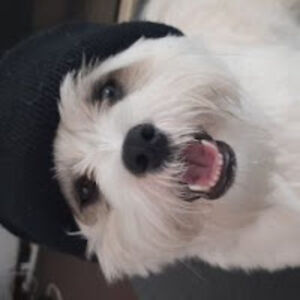 coreyputaranui avatar