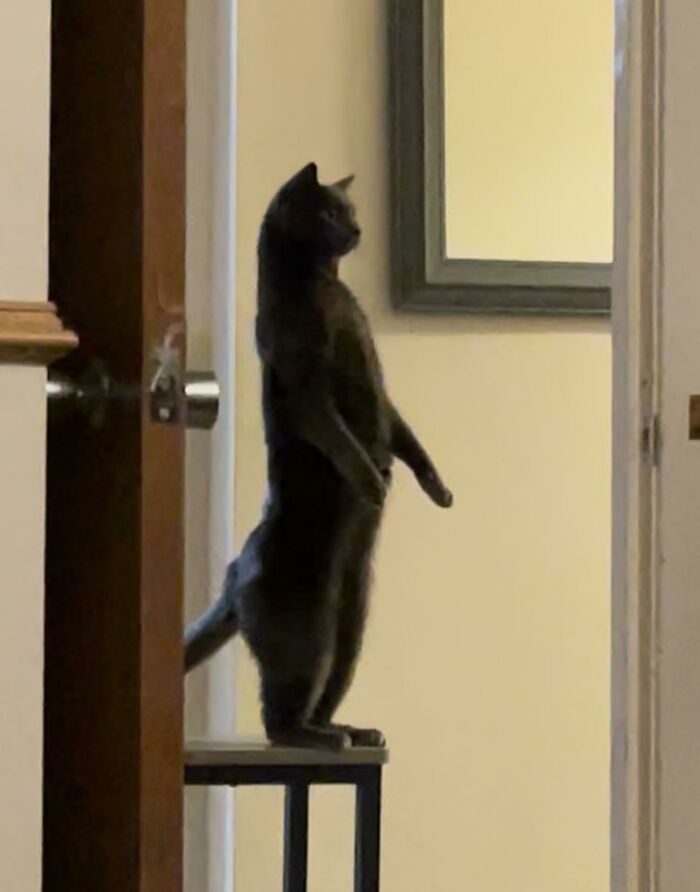 He Stands Like This When He Thinks We Aren’t Looking…