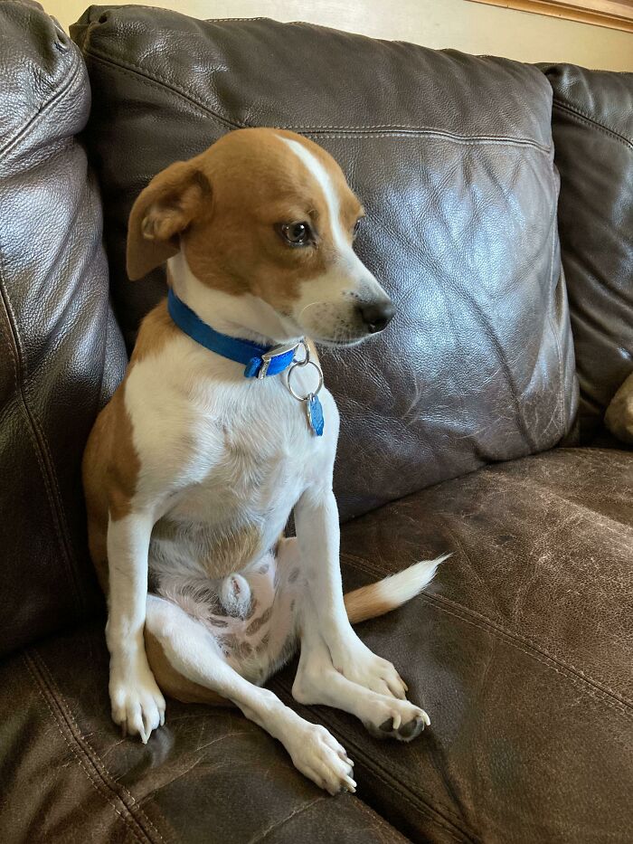 He Sits Like This All The Time. I Have No Idea What’s Wrong With Him