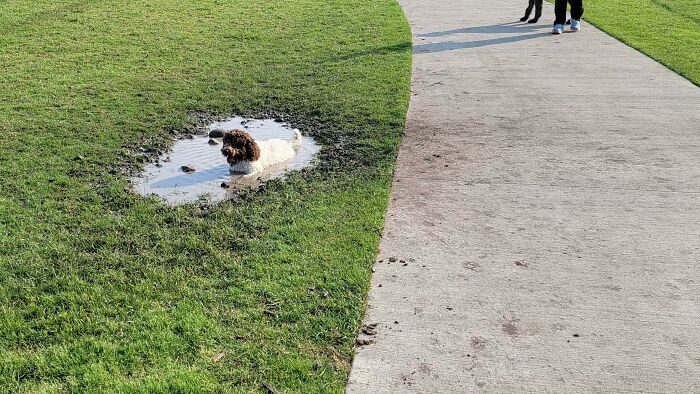I Specifically Chose This Park Because There Is No Water Feature