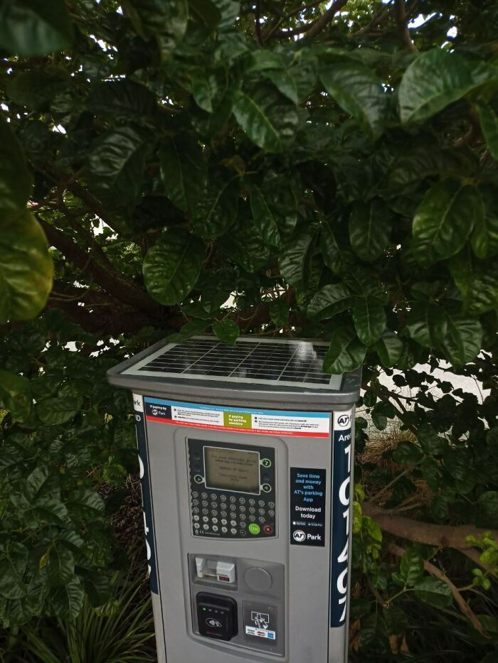 Un parquímetro de energía solar… debajo de un árbol