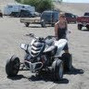 stefynigarber avatar