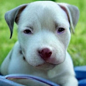 rosemacdonald_1 avatar