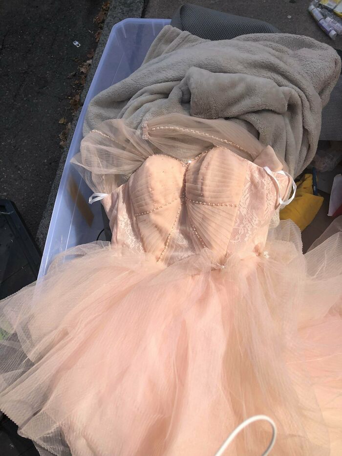 My Greatest Trash Find Of All Time Someone Threw Out A Ball Gown
