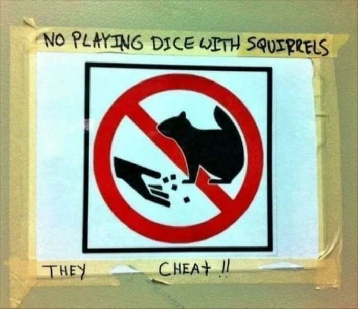 No Playing Dice With Squirrels
