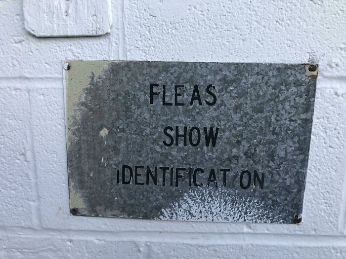 Fleas With Proper Identification Welcome