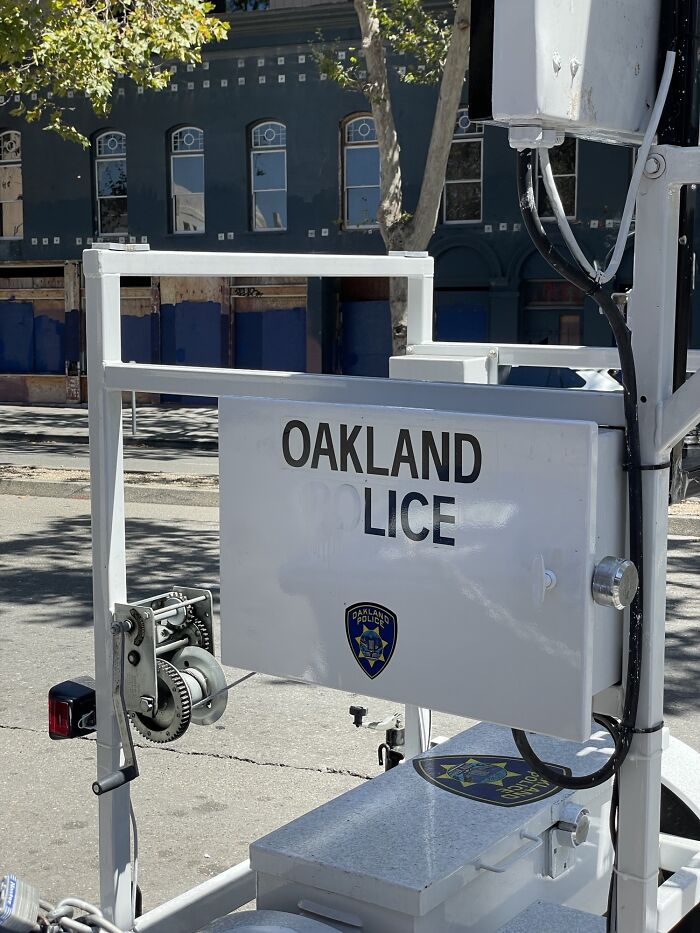 Oakland Lice