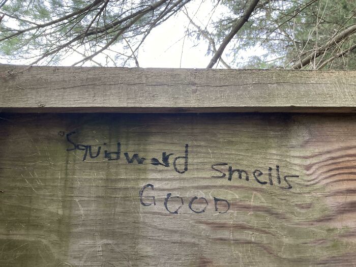 Found This At A Park Yesterday