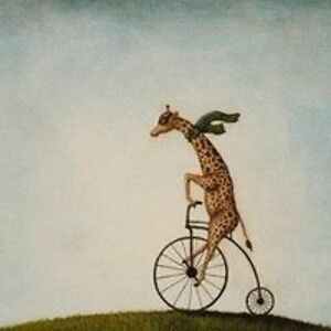 niallmccracken avatar