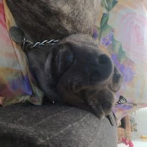 onestrangecorinthian avatar