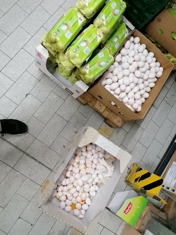 My Coworker Dropped A Pallet Of Eggs, And I Got Assigned To Go Trough Every Single Egg Box And Inspect Every Single Egg To Ensure They're Not Broken