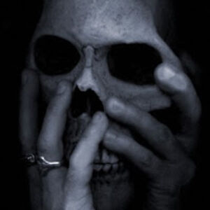 harryhollowhead avatar