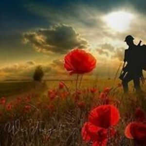 aimeerubywilliamgeorgia avatar