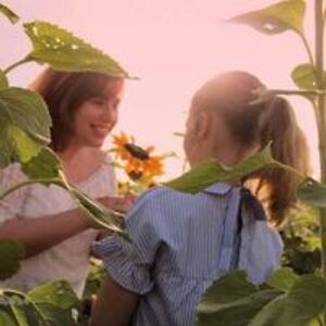 drangelamscifresod avatar