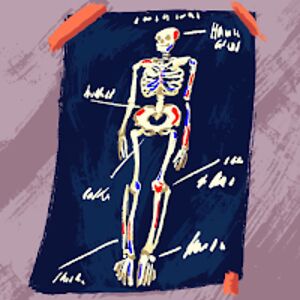 alexalpeacock avatar