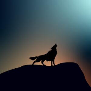 pipergracesuryan avatar