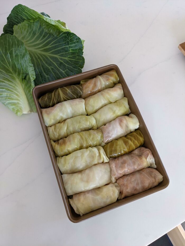 My Stuffed Cabbage Is Aesthetically Pleasing!