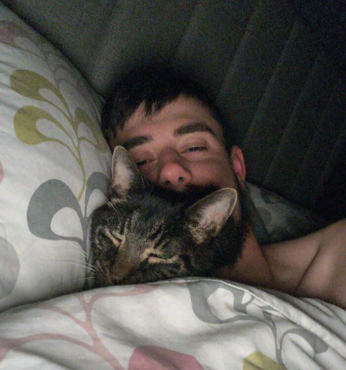 My Senior Cat Won’t Let Me Sleep Unless I Spoon Him Every Night