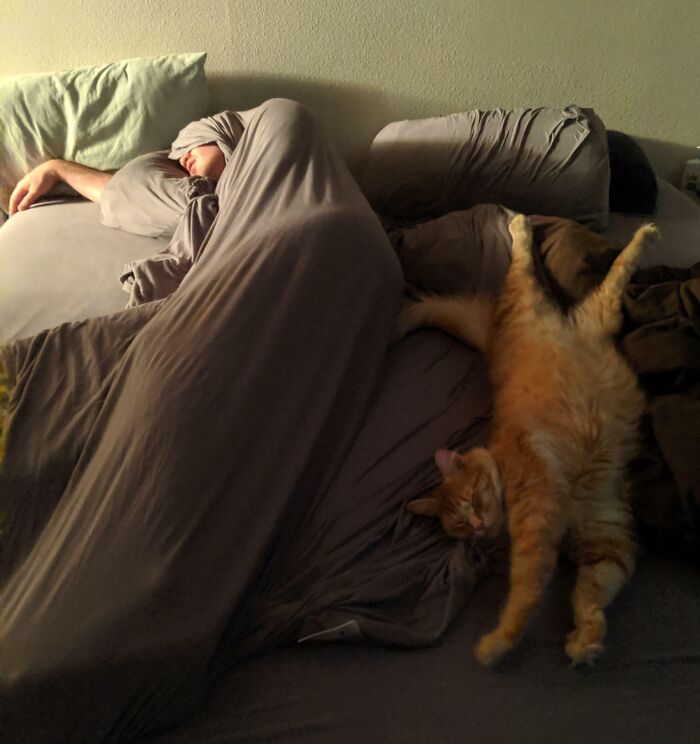 Everybody's Got These Great Pictures Of Their People Sleeping With Their Pets And I'm Over Here Stuck With This Mess