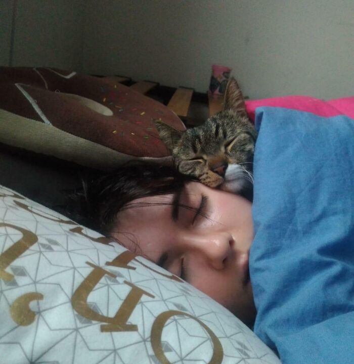 My Friend Took This Picture Of My Cat And Me While I Was Sleeping. His Name Is Mochi. He's My Sweet Boy And I Love Him