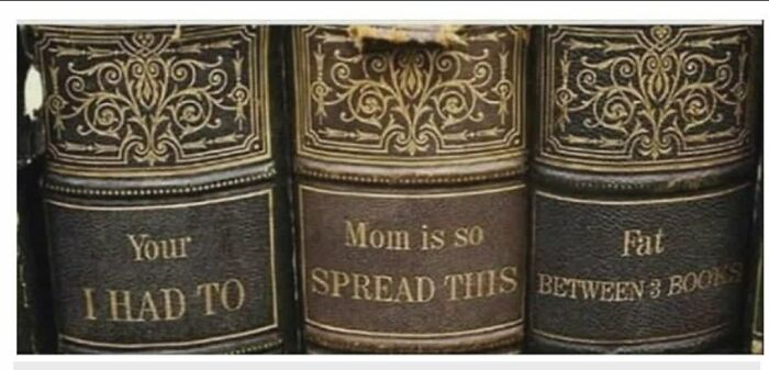 Your I Had To Mom Is So Spread This Fat Between 3 Books