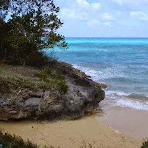 micheleturner avatar