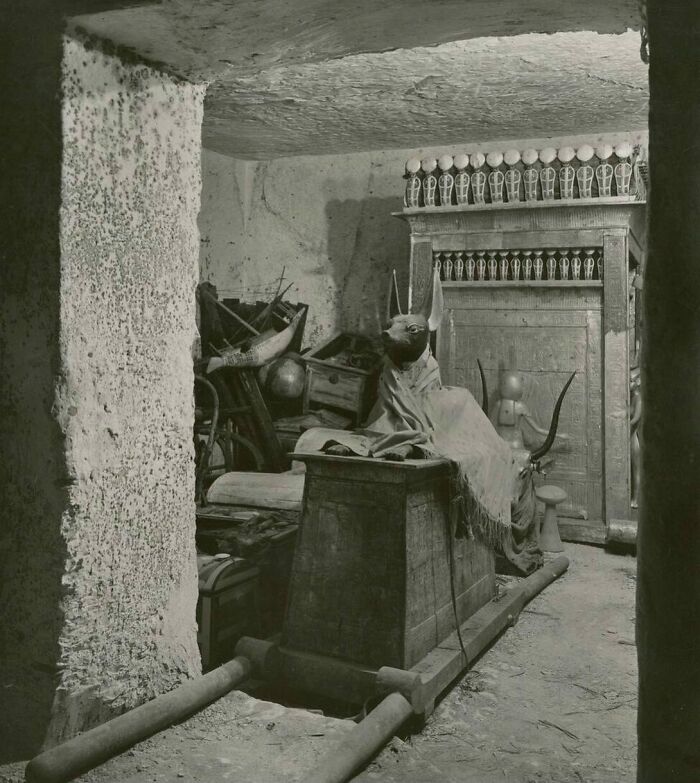 A Statue Of Anubis In Tutankhamuns Tomb, Taken During Carter Expedition (Photo Taken In 1922)