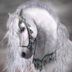 wanageeskaspirit avatar