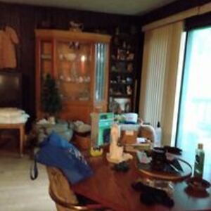 springstubemarie avatar