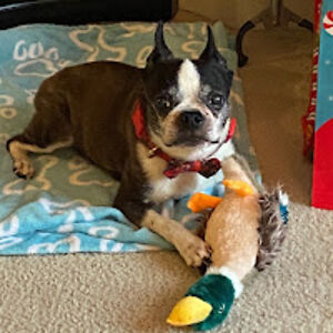 nicoleleclercmosher avatar