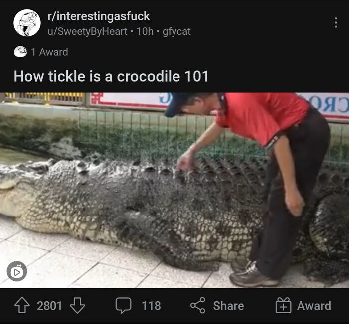 How Tickle Is A Crocodile Really Tho?