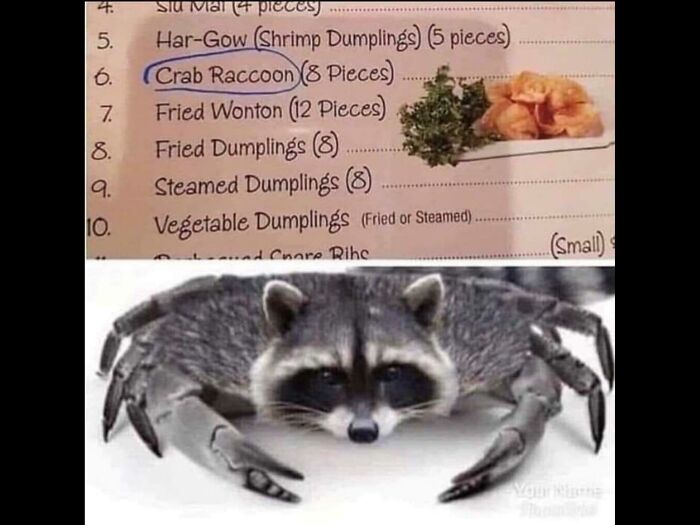 Crab Raccoon