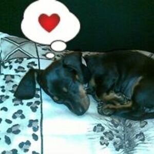 athenapoulos_1 avatar