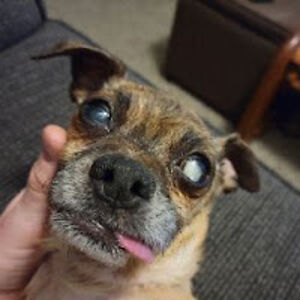 donovanstrassell avatar