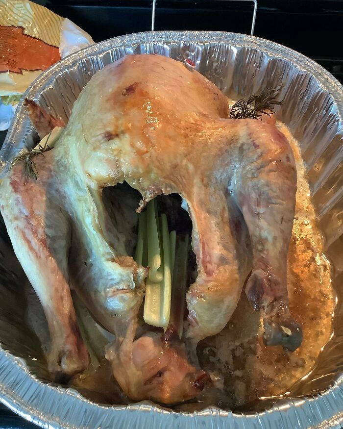 My Wife's Cousin's Thanksgiving Turkey Stuffed With A Loose Handful Of Plain Celery