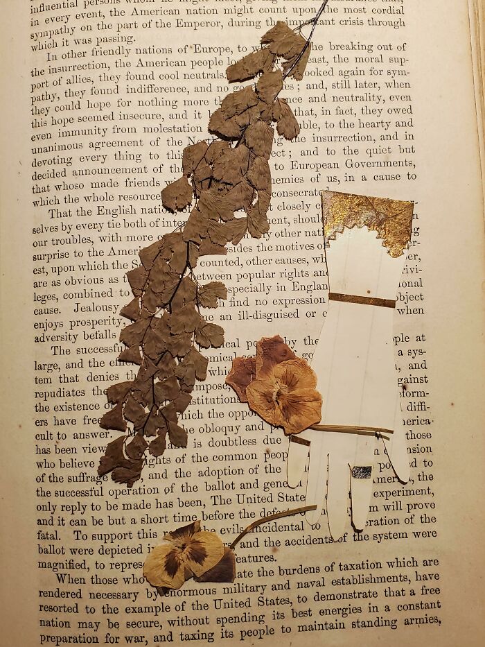 Why You Buy An Old Book (1866) About The Civil War And It Contains Pressed Flowers. I Wonder What Story They'd Tell?